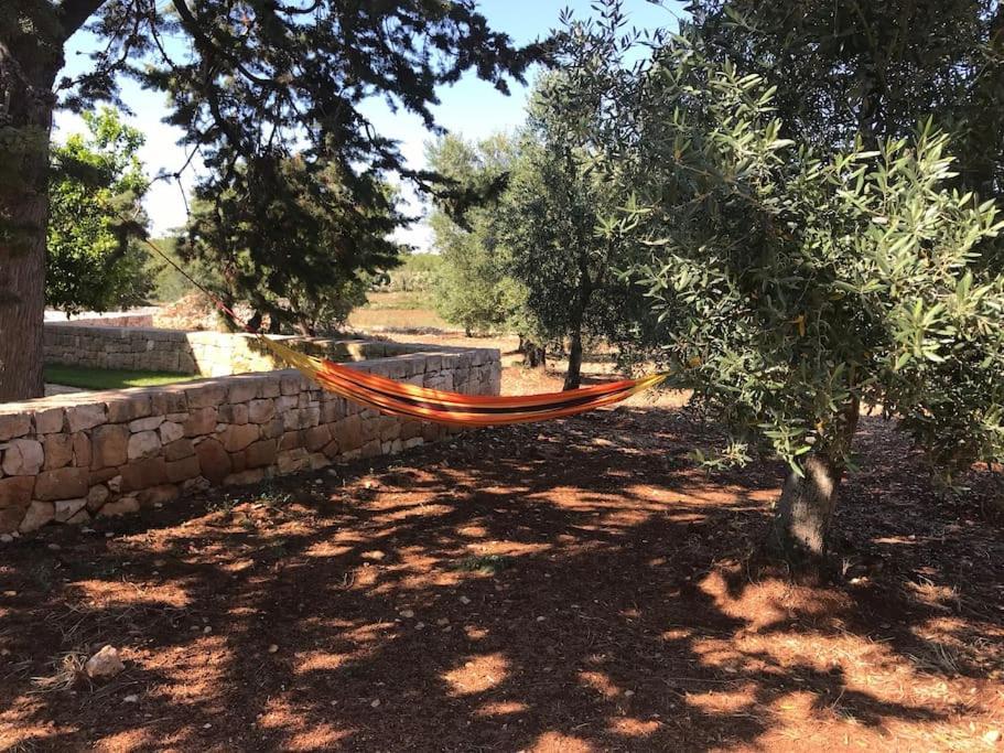 Villa Dominique Relax A Pochi Kilometri Dal Mare Carovigno Exteriör bild