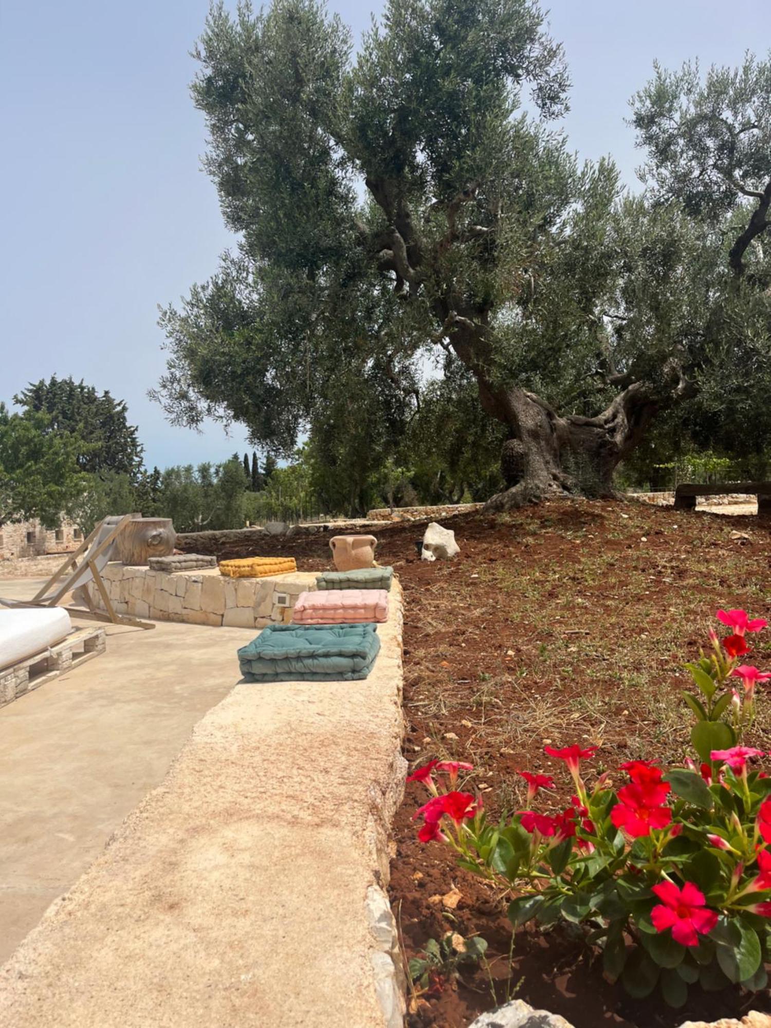 Villa Dominique Relax A Pochi Kilometri Dal Mare Carovigno Exteriör bild